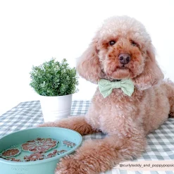 Cocopup Slow Feed Dog Bowls-Silicone Slow Feed Dog Bowl - Sage Flowers