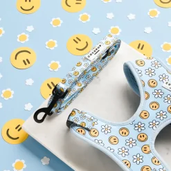 Cocopup Leads-Smiley Pawty Tent Lead