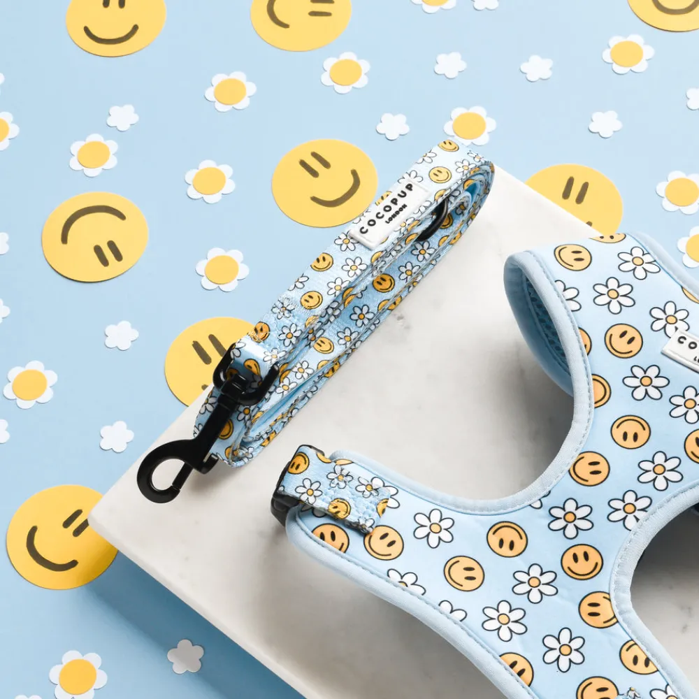 Cocopup Leads-Smiley Pawty Tent Lead