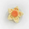 Cocopup Collar Flowers-Spring Daffodil Collar Flower