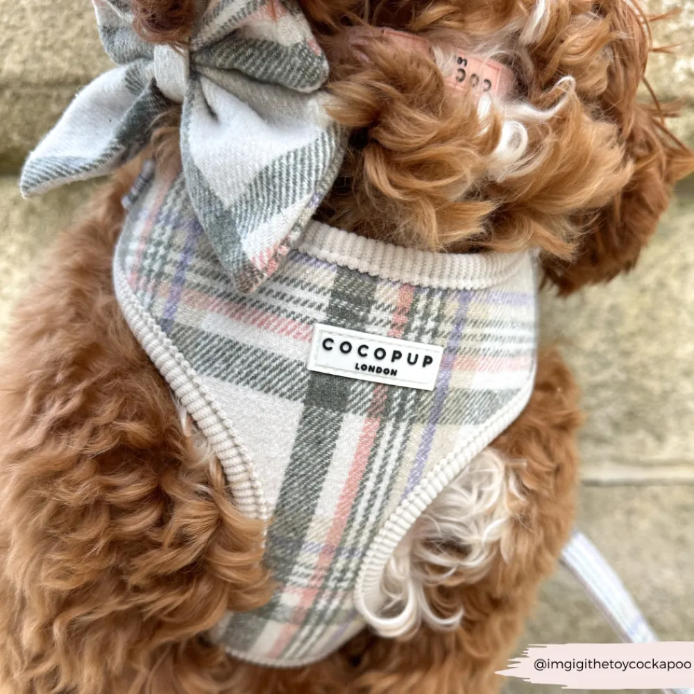Cocopup Adjustable Harness Bundles-Spring Plaid Adjustable Neck Harness, Lead & Collar Bundle
