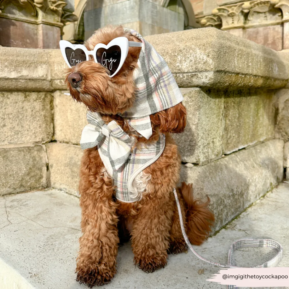 Cocopup Adjustable Harness Bundles-Spring Plaid Adjustable Neck Harness, Lead & Collar Bundle