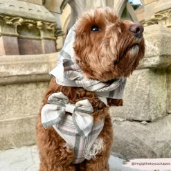 Cocopup Bandanas-Spring Plaid Bandana