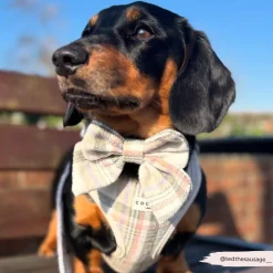 Cocopup Sailor Bow Ties-Spring Plaid Sailor Bow Tie