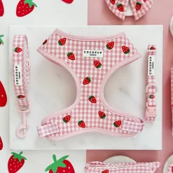 Cocopup Adjustable Harness Bundles-Strawberry Picnic Pup Adjustable Neck Harness, Lead & Collar Bundle