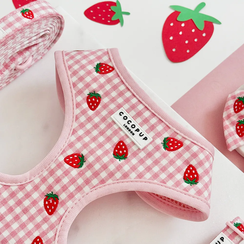 Cocopup Adjustable Harness Bundles-Strawberry Picnic Pup Adjustable Neck Harness, Lead & Collar Bundle