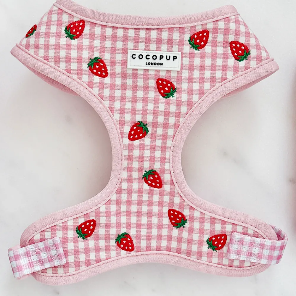 Cocopup Adjustable Harness Bundles-Strawberry Picnic Pup Adjustable Neck Harness, Lead & Collar Bundle
