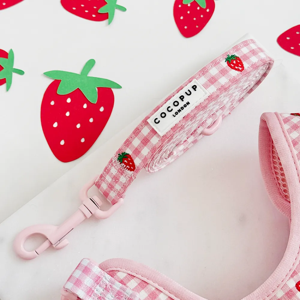 Cocopup Adjustable Harness Bundles-Strawberry Picnic Pup Adjustable Neck Harness, Lead & Collar Bundle