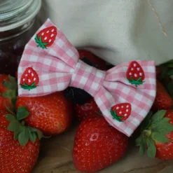 Cocopup Bow Ties-Strawberry Picnic Pup Bow Tie