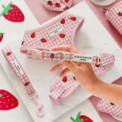 Cocopup Collars | Puppy Leads & Collars-Strawberry Picnic Pup COLLAR