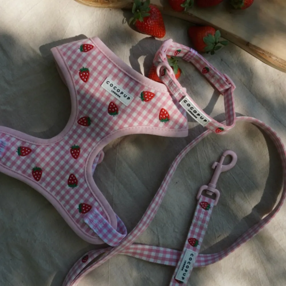 Cocopup Collars | Puppy Leads & Collars-Strawberry Picnic Pup COLLAR