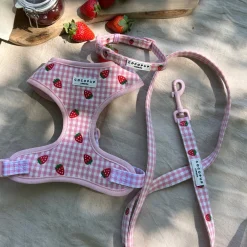 Cocopup Leads-Strawberry Picnic Pup Lead