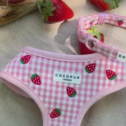 Cocopup Leads-Strawberry Picnic Pup Lead