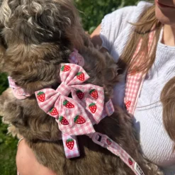 Cocopup Sailor Bow Ties-Strawberry Picnic Pup Sailor Bow Tie