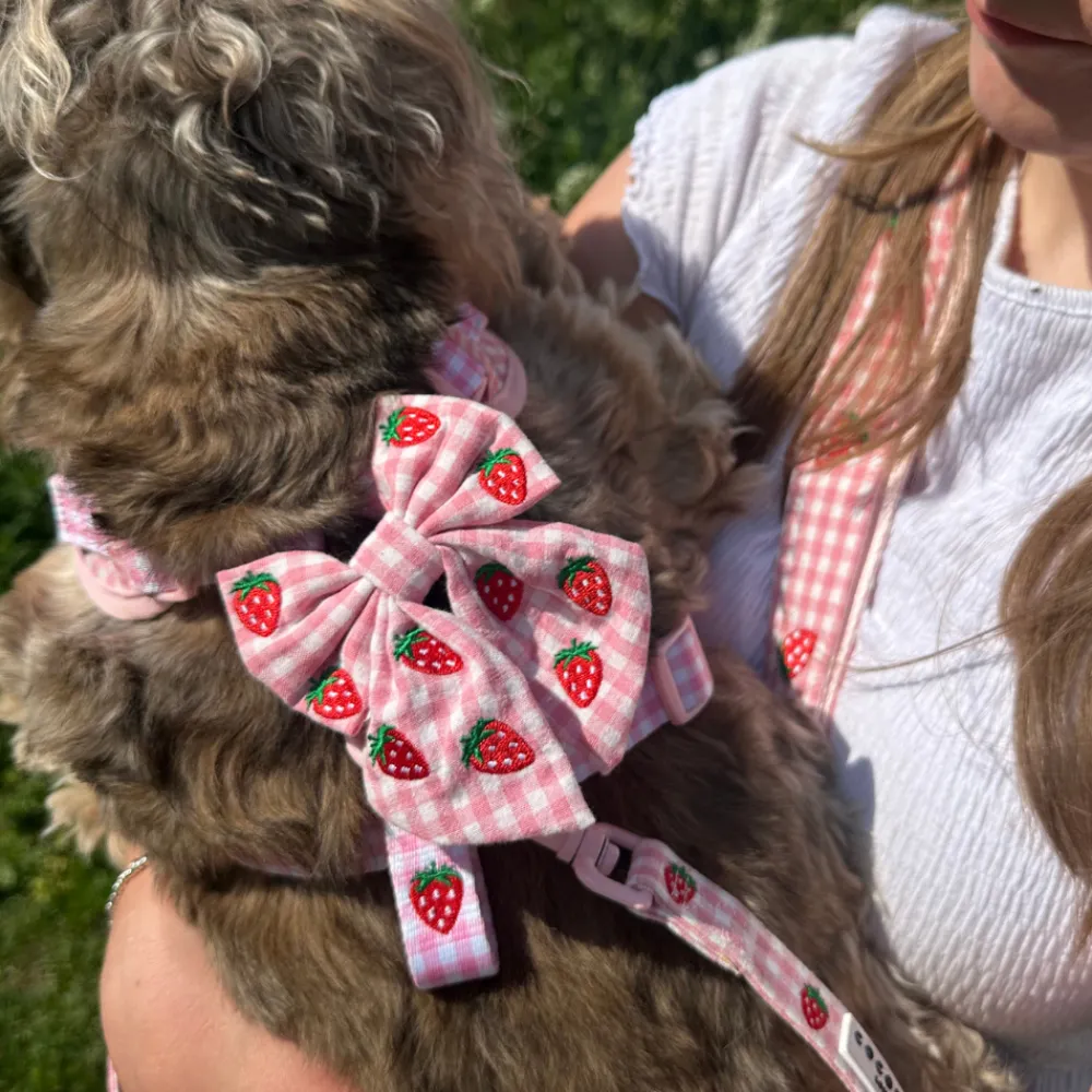 Cocopup Sailor Bow Ties-Strawberry Picnic Pup Sailor Bow Tie