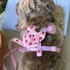 Cocopup Sailor Bow Ties-Strawberry Picnic Pup Sailor Bow Tie