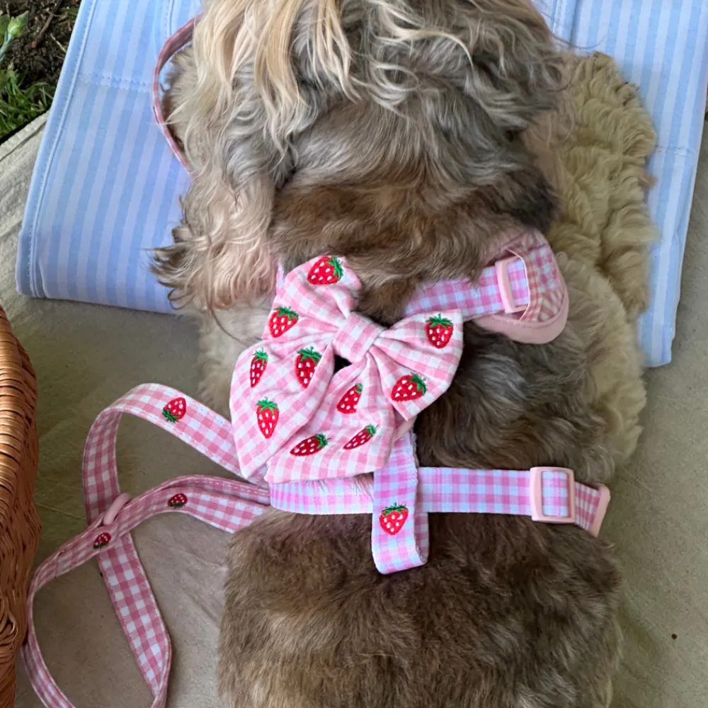 Cocopup Sailor Bow Ties-Strawberry Picnic Pup Sailor Bow Tie