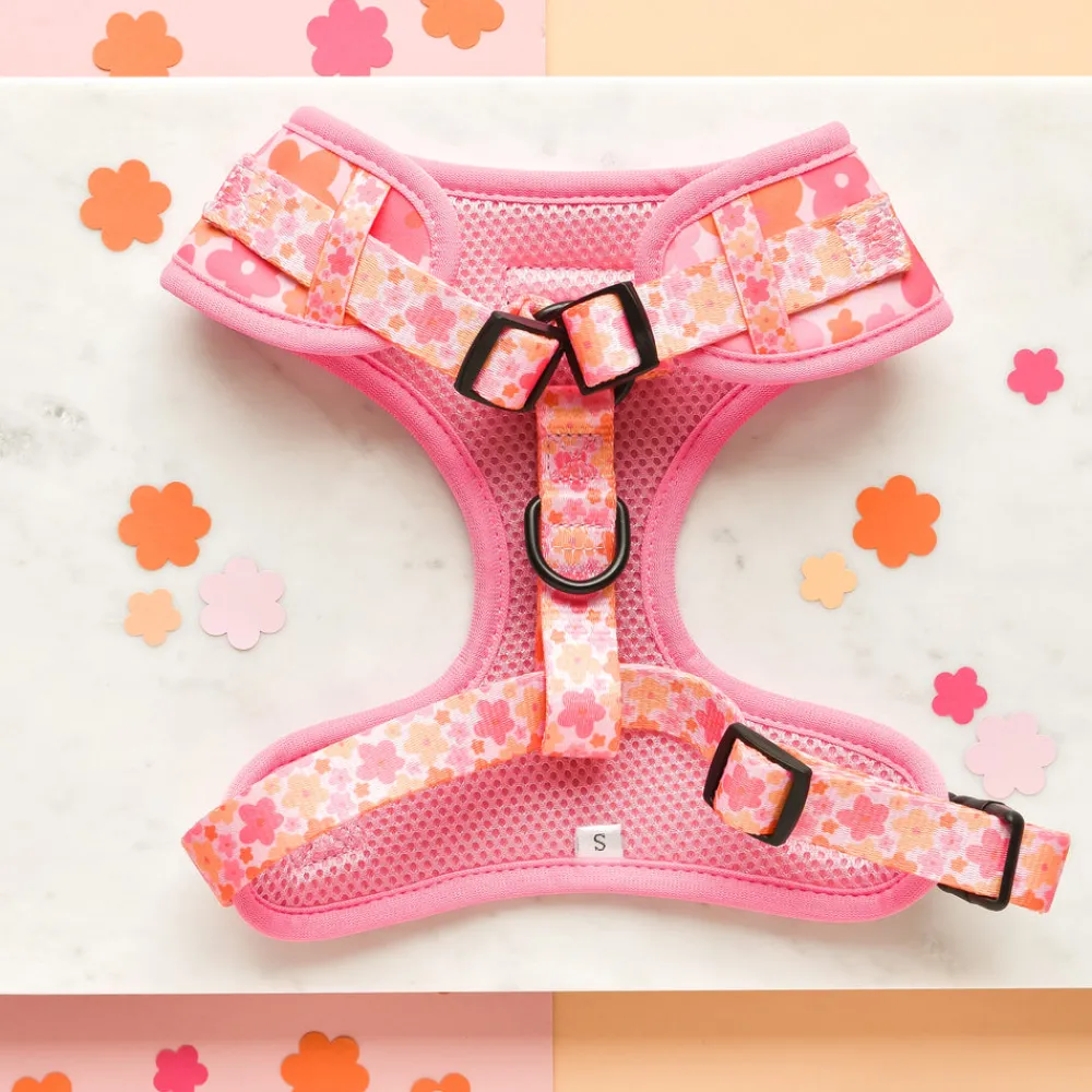 Cocopup Adjustable Harness Bundles-Summer Bloom Adjustable Neck Harness, Lead & Collar Bundle