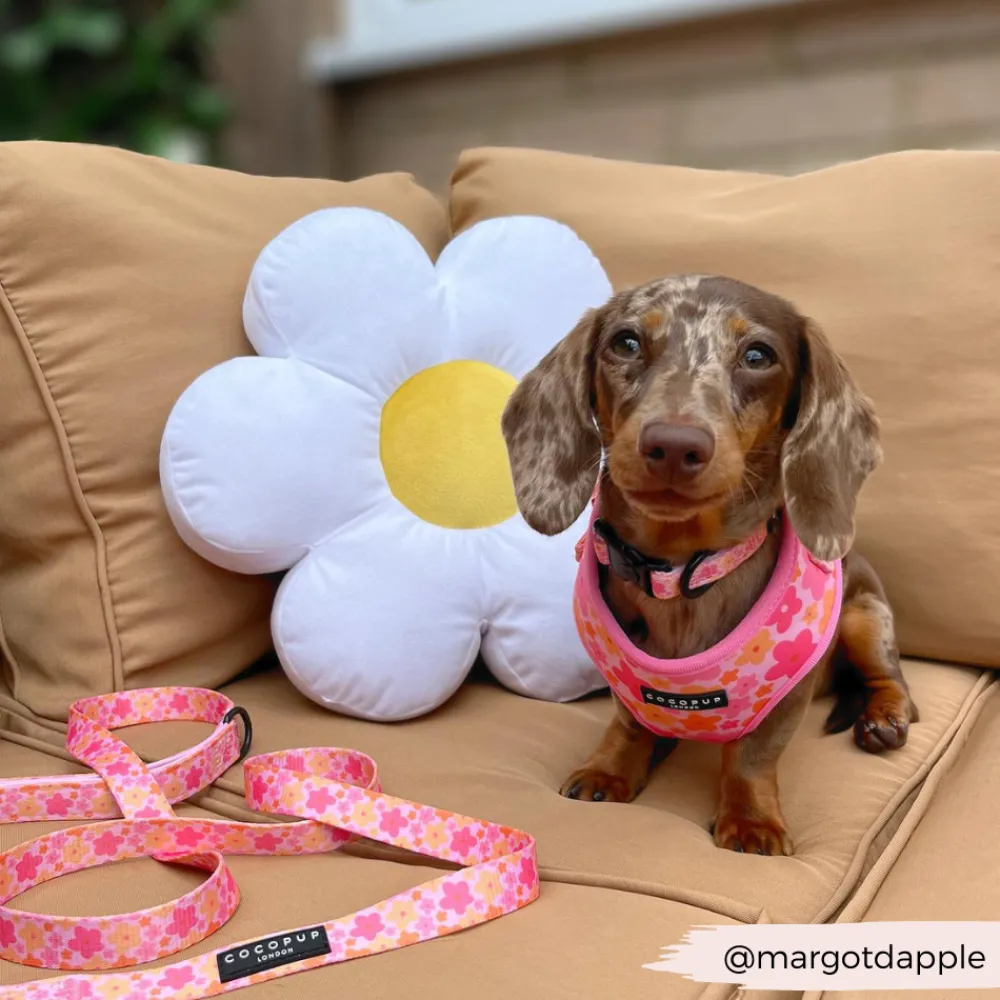 Cocopup Adjustable Harness Bundles-Summer Bloom Adjustable Neck Harness, Lead & Collar Bundle