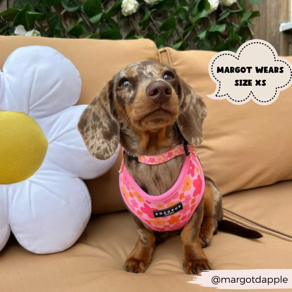 Cocopup Adjustable Neck Harnesses-Summer Bloom Adjustable Neck HARNESS