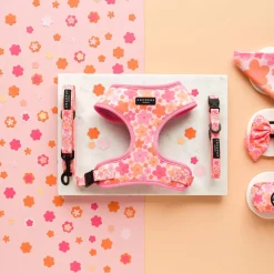 Cocopup Collars | Puppy Leads & Collars-Summer Bloom COLLAR