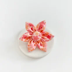 Cocopup Collar Flowers-Summer Bloom Collar Flower