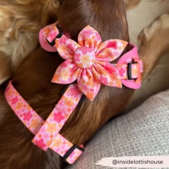 Cocopup Collar Flowers-Summer Bloom Collar Flower