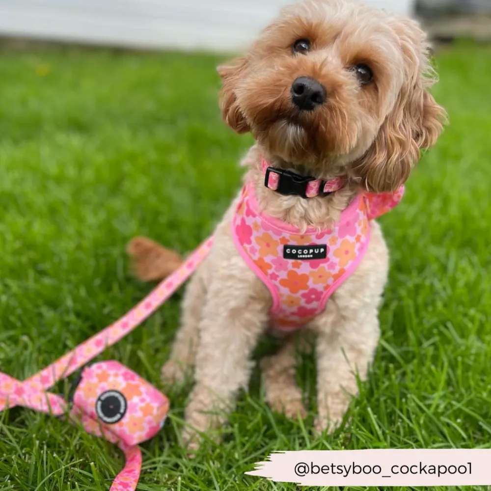 Cocopup Poop Bag Holders | Poop Bag Holders-Summer Bloom Poop Bag Holder
