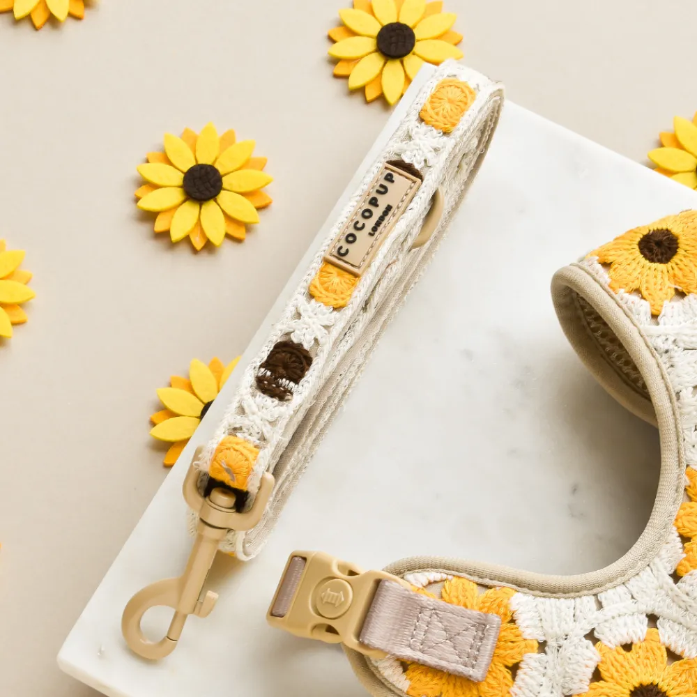 Cocopup Adjustable Harness Bundles-Sunflower Patch Adjustable Neck Harness, Lead & Collar Bundle