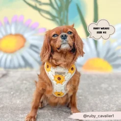 Cocopup Adjustable Neck Harnesses-Sunflower Patch Adjustable Neck HARNESS