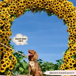 Cocopup Adjustable Neck Harnesses-Sunflower Patch Adjustable Neck HARNESS