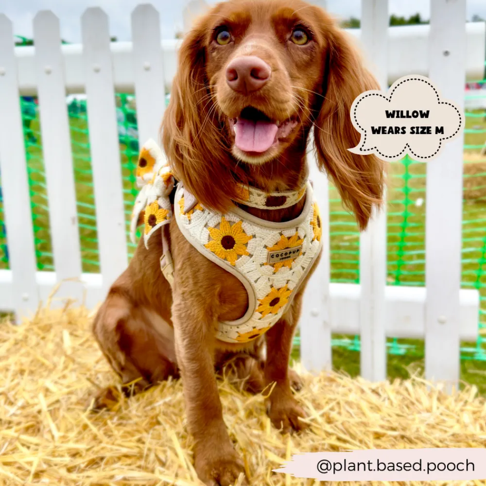 Cocopup Adjustable Neck Harnesses-Sunflower Patch Adjustable Neck HARNESS