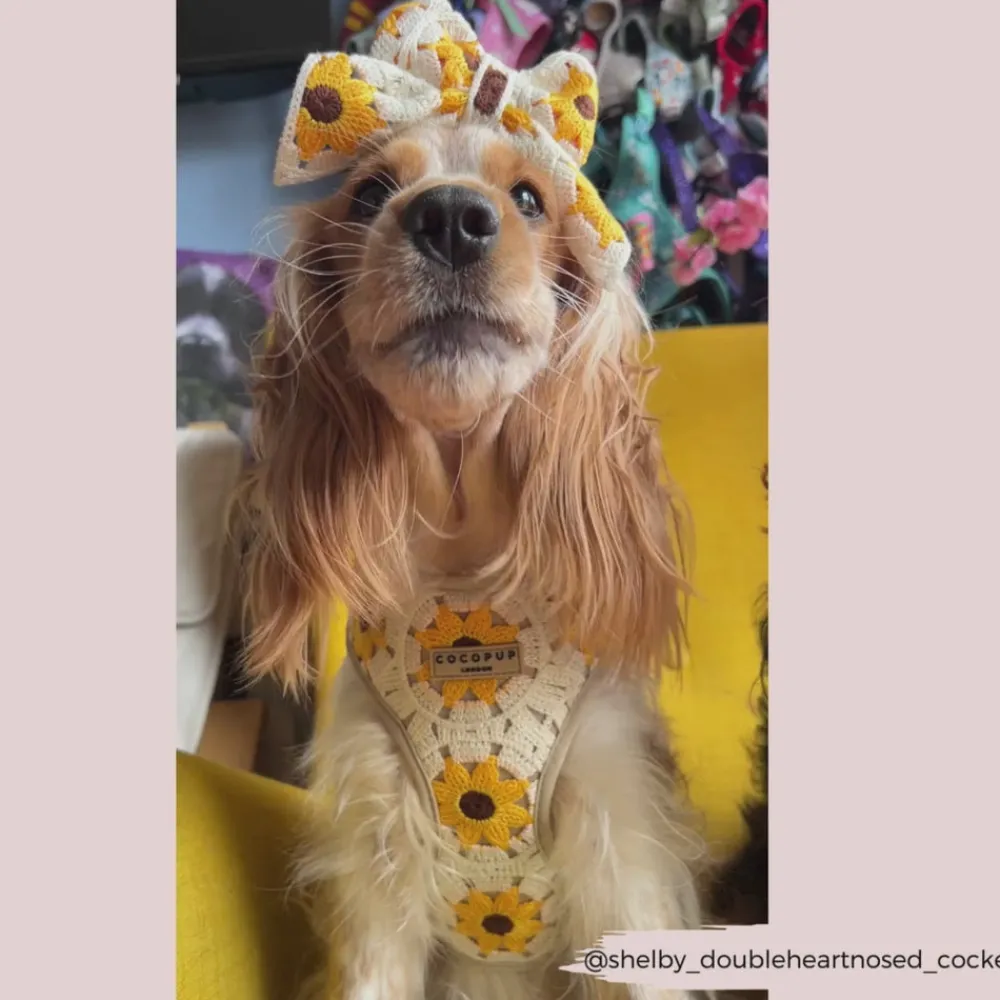 Cocopup Sailor Bow Ties-Sunflower Patch Sailor Bow Tie