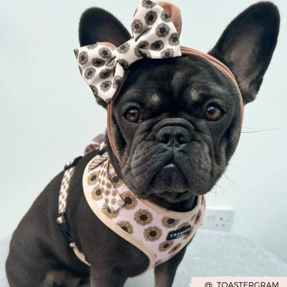 Cocopup Bow Ties-Sunflowers Bow Tie