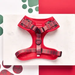 Cocopup Adjustable Harness Bundles-Tartan Adjustable Neck Harness, Lead & Collar Bundle