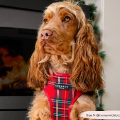 Cocopup Adjustable Neck Harnesses-Tartan Adjustable Neck HARNESS