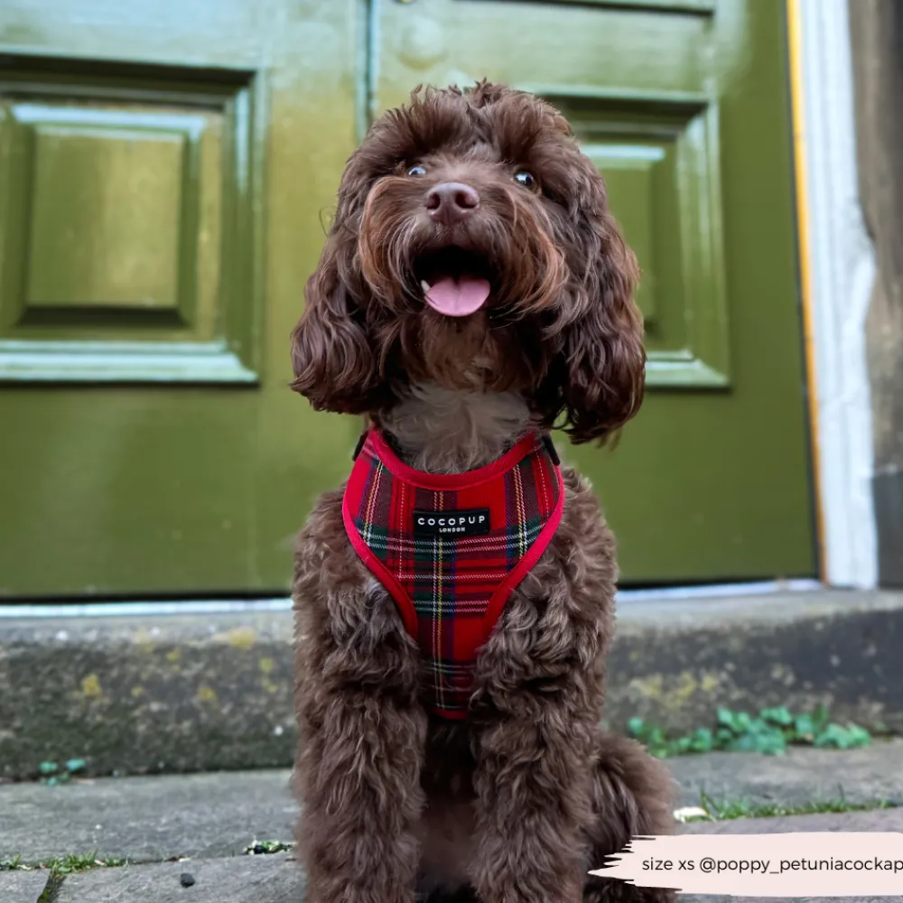 Cocopup Adjustable Harness Bundles-Tartan Adjustable Neck Harness, Lead & Collar Bundle
