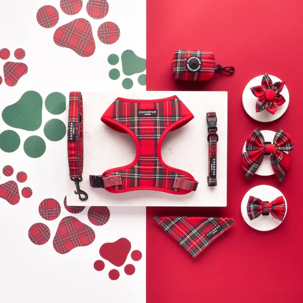 Cocopup Collars | Puppy Leads & Collars-Tartan COLLAR