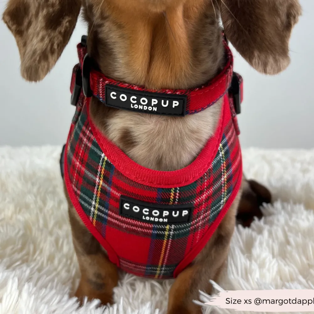 Cocopup Collars | Puppy Leads & Collars-Tartan COLLAR