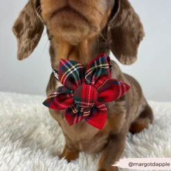 Cocopup Collar Flowers-Tartan Collar Flower