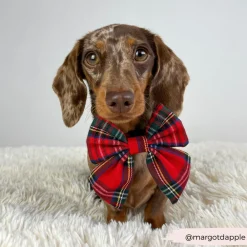 Cocopup Sailor Bow Ties-Tartan Sailor Bow Tie