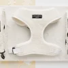 Cocopup Adjustable Neck Harnesses-Teddy Adjustable Neck HARNESS - Dolly