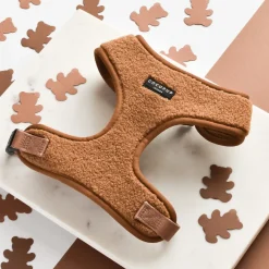 Cocopup Adjustable Neck Harnesses-Teddy Adjustable Neck HARNESS - Paddington