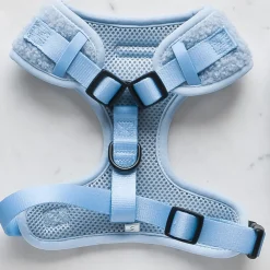 Cocopup Adjustable Neck Harnesses-Teddy Adjustable Neck HARNESS - Daydream