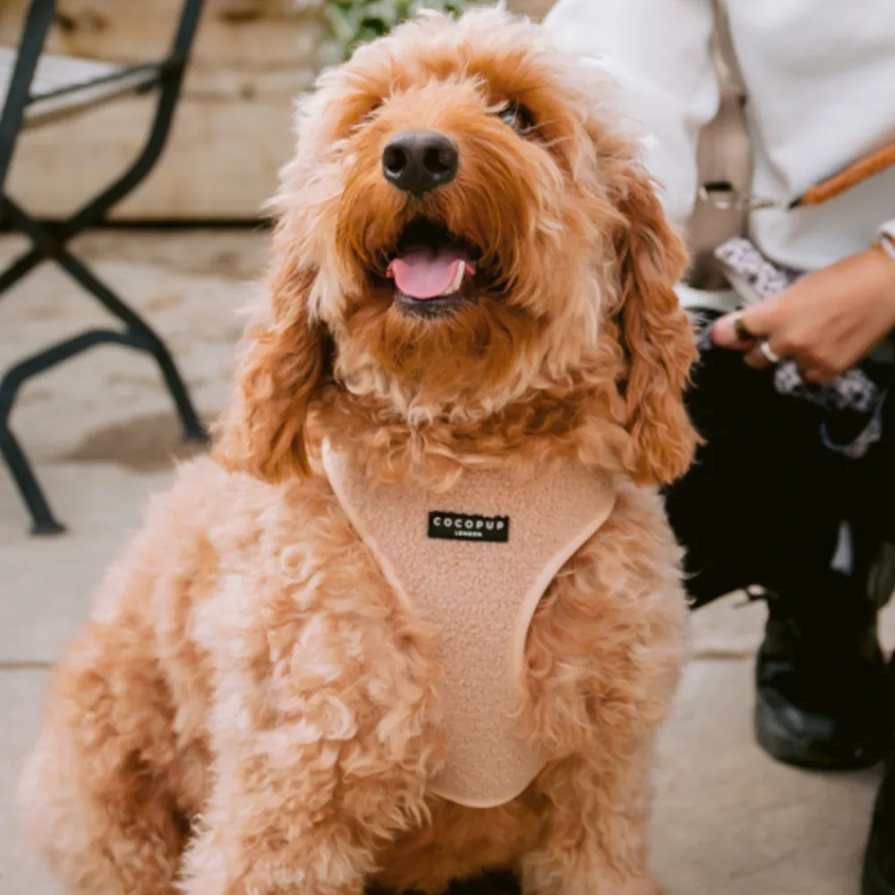 Cocopup Adjustable Neck Harnesses-Teddy Adjustable Neck HARNESS - Rupert
