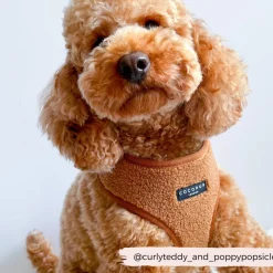 Cocopup Adjustable Neck Harnesses-Teddy Adjustable Neck HARNESS - Paddington