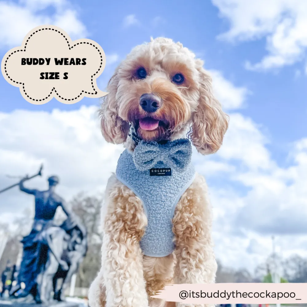Cocopup Adjustable Neck Harnesses-Teddy Adjustable Neck HARNESS - Daydream
