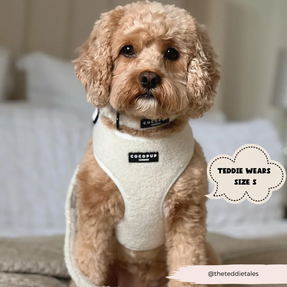 Cocopup Adjustable Neck Harnesses-Teddy Adjustable Neck HARNESS - Dolly
