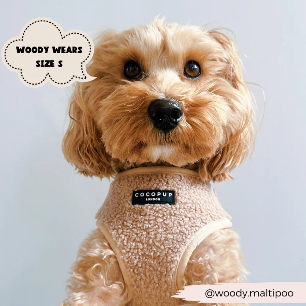 Cocopup Adjustable Neck Harnesses-Teddy Adjustable Neck HARNESS - Rupert