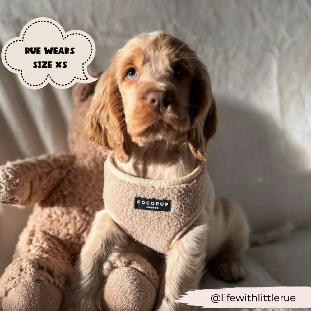 Cocopup Adjustable Neck Harnesses-Teddy Adjustable Neck HARNESS - Rupert